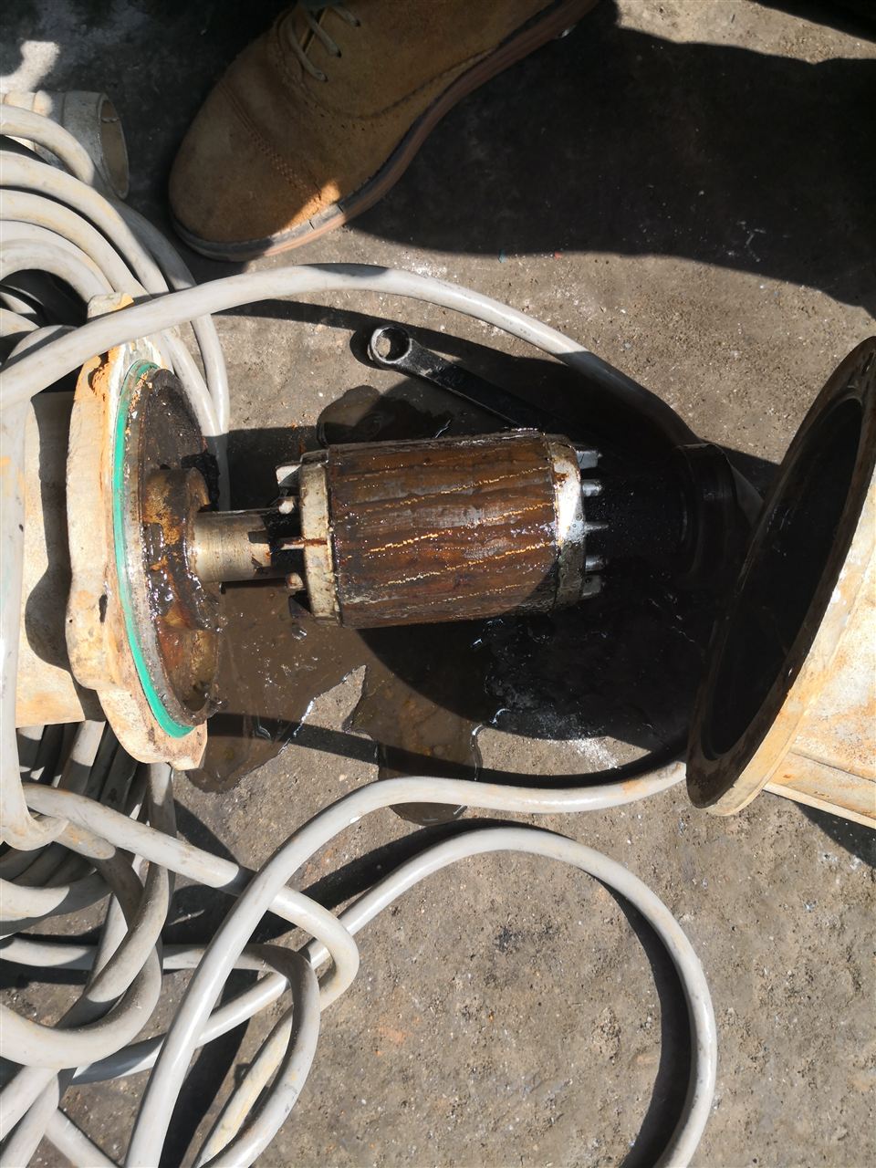 潛水泵電機(jī)